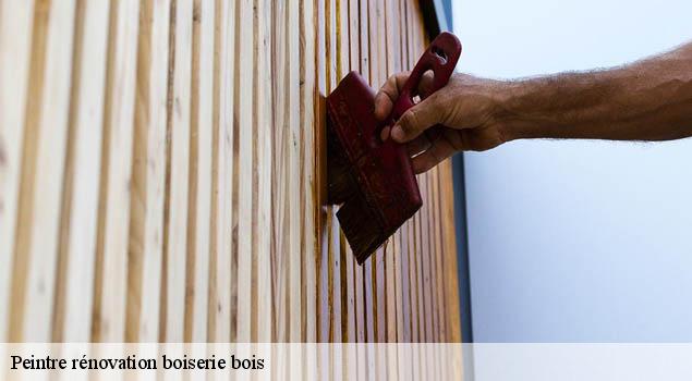 Peintre rénovation boiserie bois  mounes-prohencoux-12370 John Toiture Couvreur 12