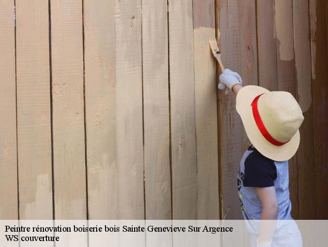 Peintre rénovation boiserie bois  sainte-genevieve-sur-argence-12420 WS couverture