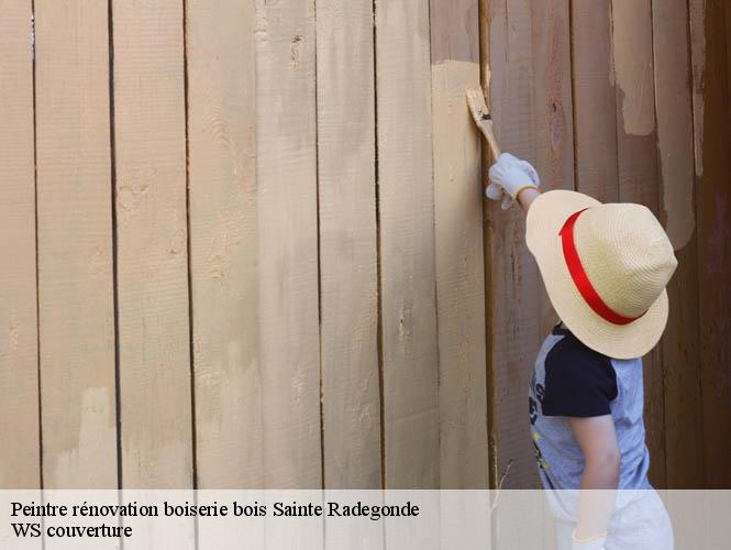 Peintre rénovation boiserie bois  sainte-radegonde-12850 WS couverture