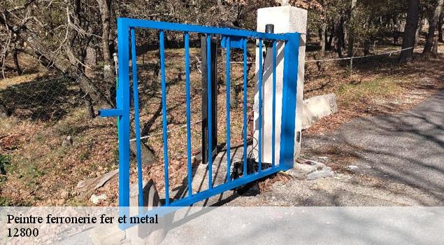 Peintre ferronerie fer et metal  cabanes-12800 John Toiture Couvreur 12