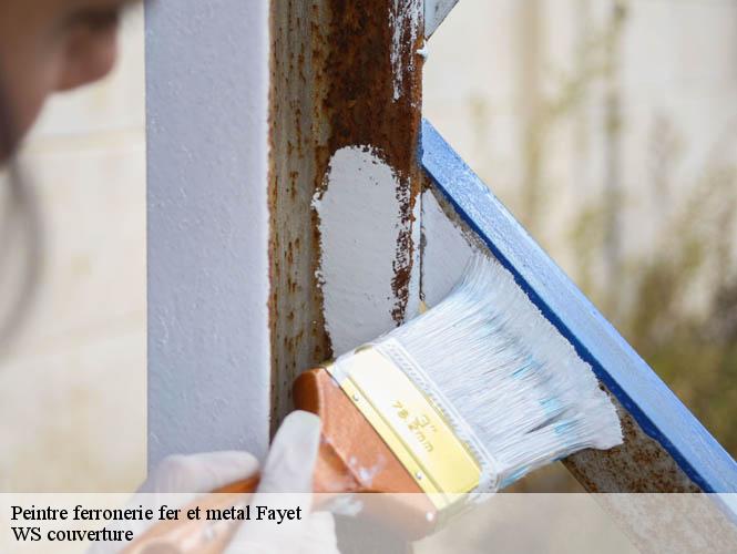 Peintre ferronerie fer et metal  fayet-12360 WS couverture