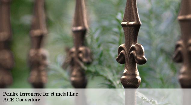 Peintre ferronerie fer et metal  luc-12450 ACE Couverture 
