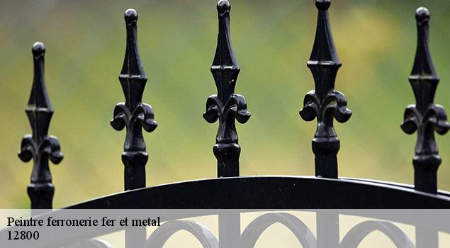 Peintre ferronerie fer et metal  naucelle-12800 ACE Couverture 