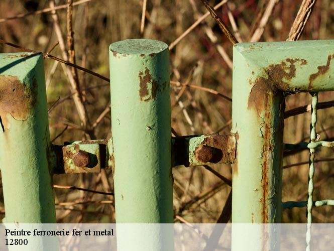 Peintre ferronerie fer et metal  naucelle-12800 WS couverture