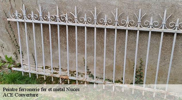 Peintre ferronerie fer et metal  nuces-12330 ACE Couverture 